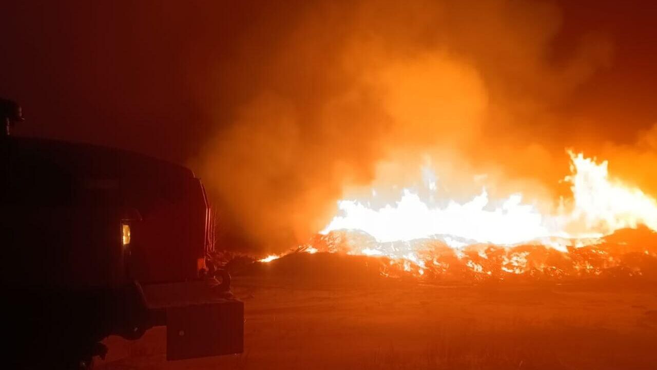 Тушение пожара на пилораме в поселке Первомайский Свердловской области - РИА Новости, 1920, 13.11.2024