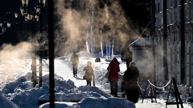 Прохожие на улице в зимний день