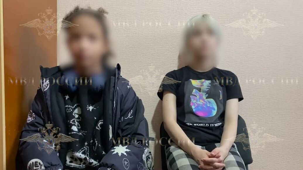 Украденного школьницами кота Лучика нашли на московской парковке