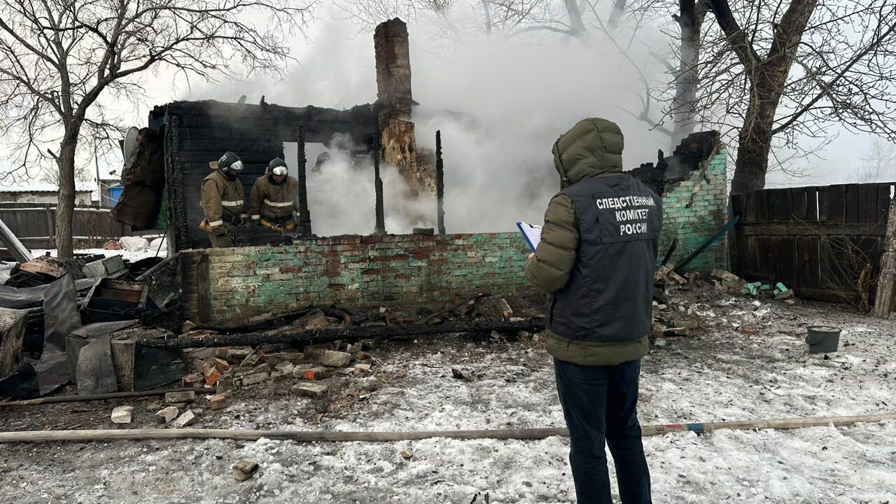 Последствия пожара в Купинском районе в Новосибирской области - РИА Новости, 1920, 17.11.2024