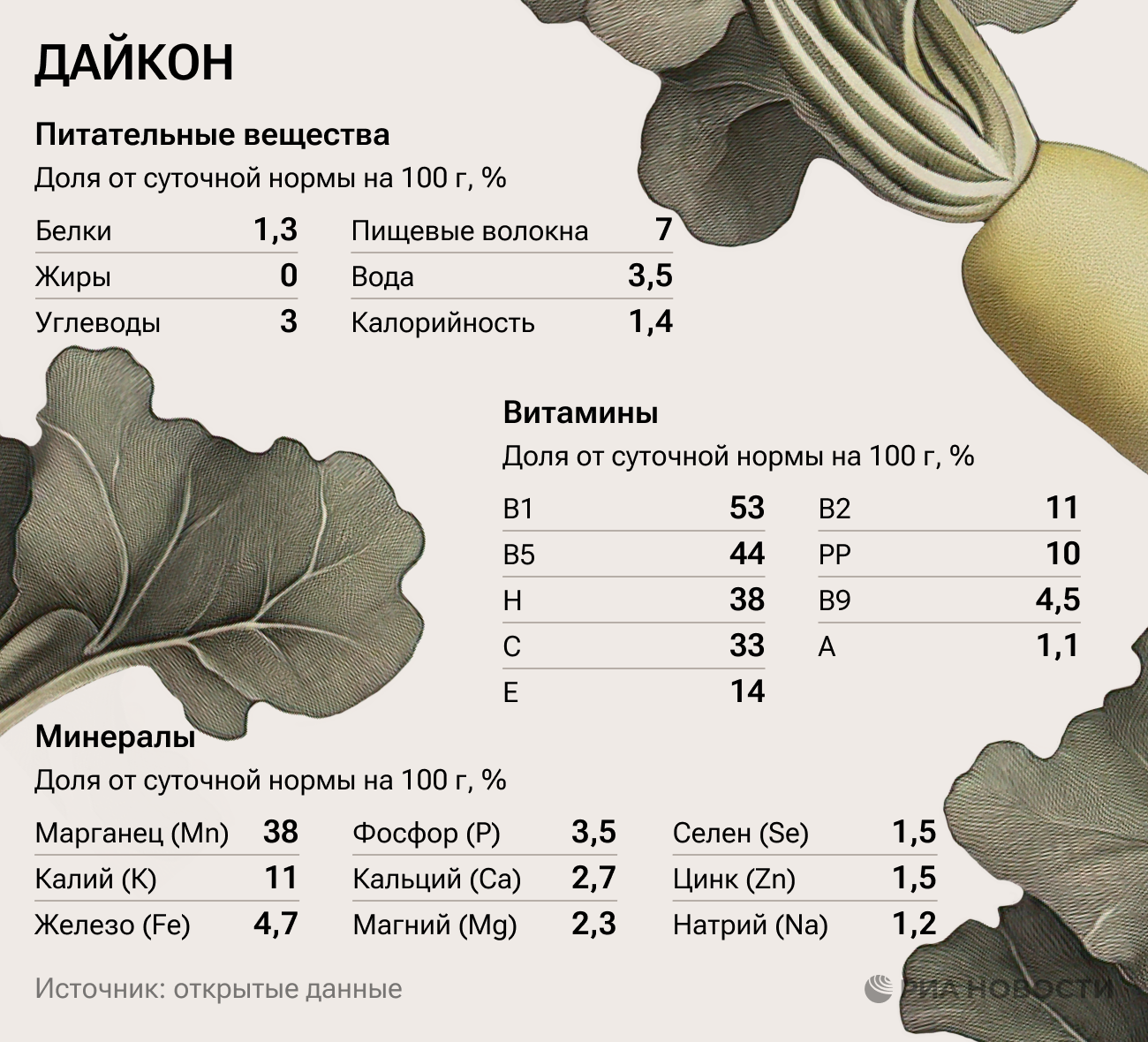 Дайкон: польза и вред для здоровья
