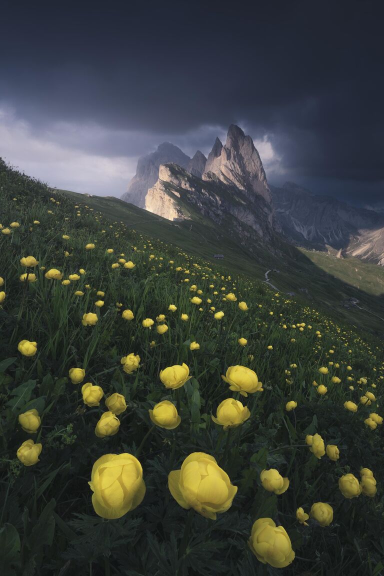 Работа фотографа Hong Jen Chiang из Тайваня Seceda