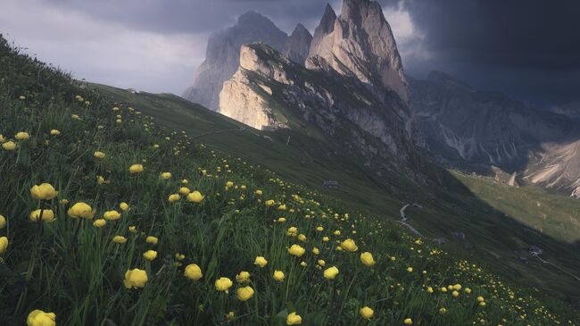 Работа фотографа Hong Jen Chiang из Тайваня Seceda