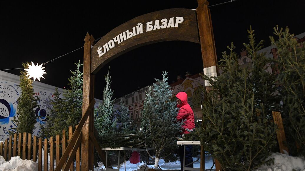 Юрист напомнил о наказании за сруб елки