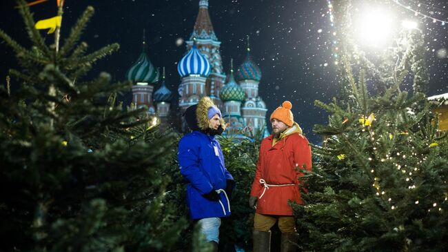 Продавцы на елочном базаре на Красной площади в Москве