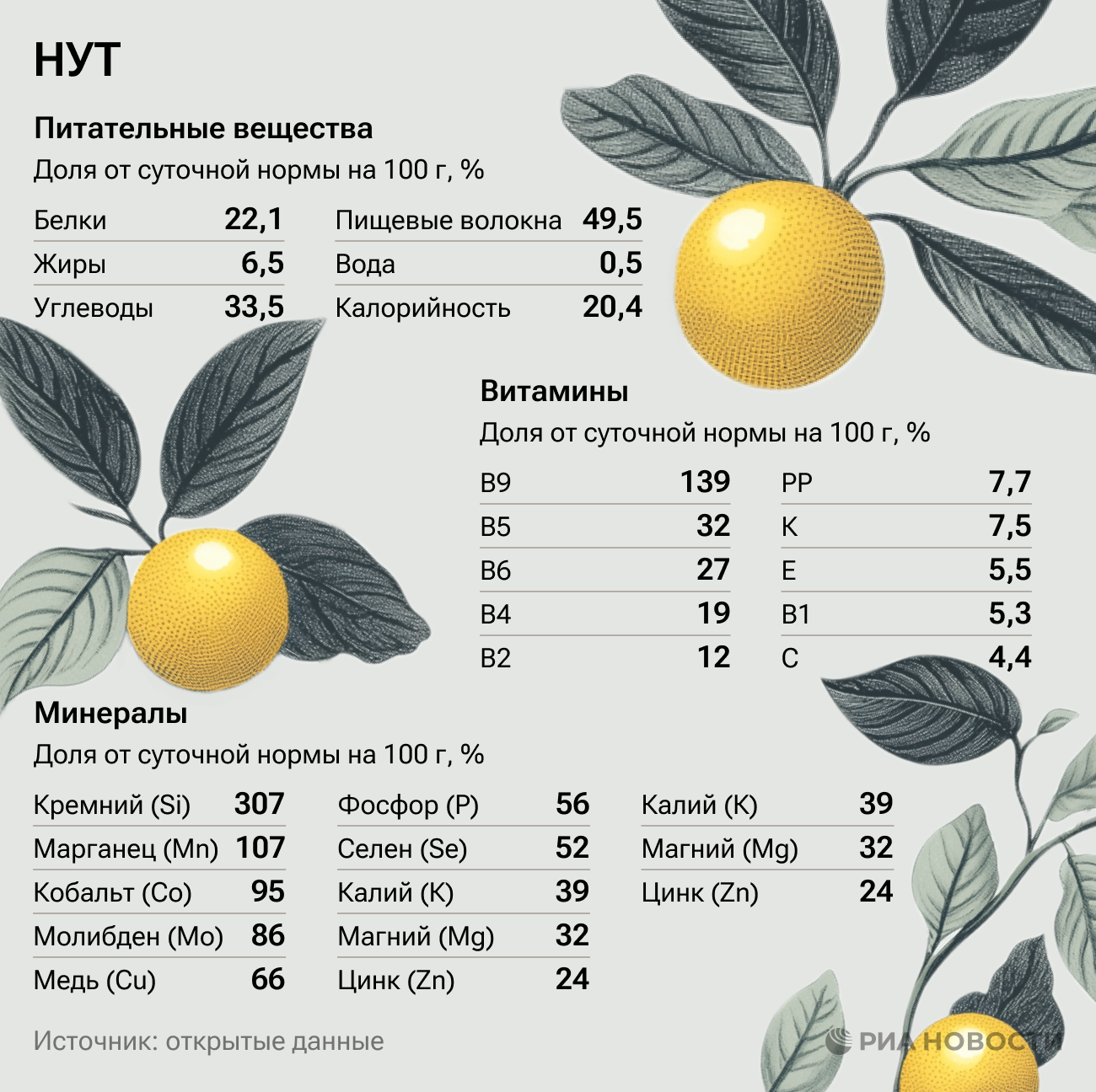 Нут: польза и вред для организма