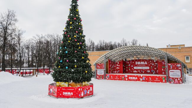 Зимний центральный парк культуры и отдыха в Зарайске