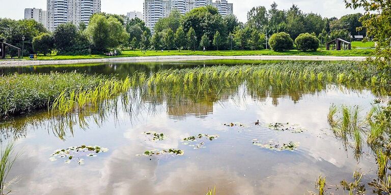 Алтуфьевский пруд в Москве