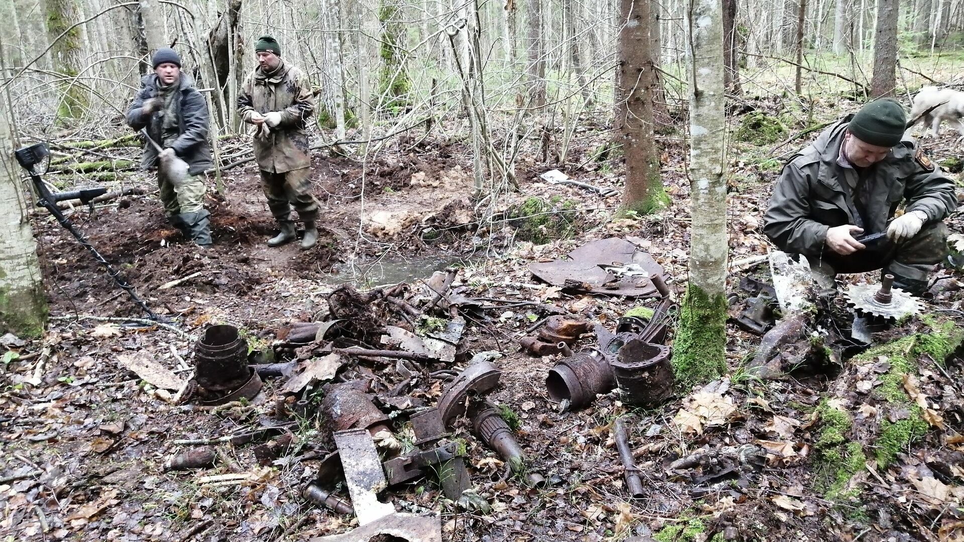 Поисковики в Старорусском районе Новгородской области нашли советский бомбардировщик Пе-2 и истребитель Ла-5 времён Великой Отечественной войны - РИА Новости, 1920, 22.11.2024