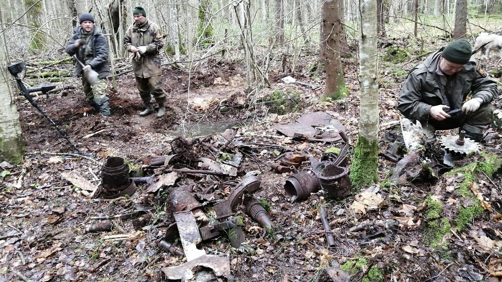 Поисковики в Старорусском районе Новгородской области нашли советский бомбардировщик Пе-2 и истребитель Ла-5 времён Великой Отечественной войны - РИА Новости, 1920, 22.11.2024