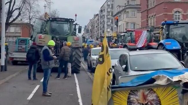 Участники акции протеста у здания Европарламента в Страсбурге, Франция. Кадр видео