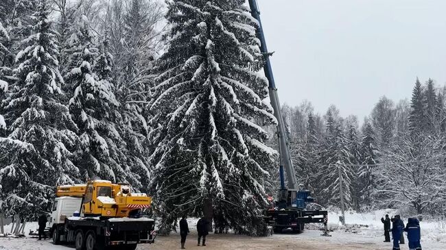 Главная новогодняя елка России