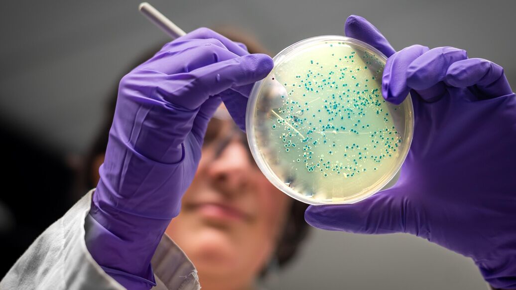 В Приморье ученые открыли вид бактерий с необычным фотосинтезом