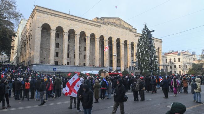 Участники акции протеста оппозиции во время выборов президента Грузии в Тбилиси