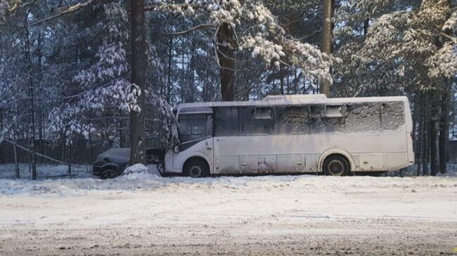 ДТП с рейсовым автобусом в Сосновоборском районе Ленобласти 