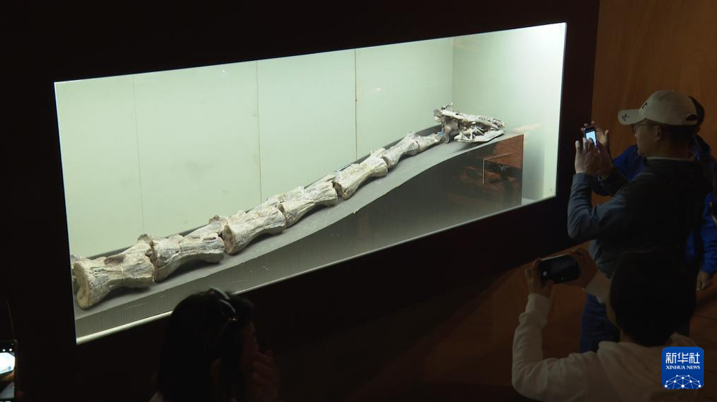 Китайские ученые открыли новый вид динозавра раннего юрского периода