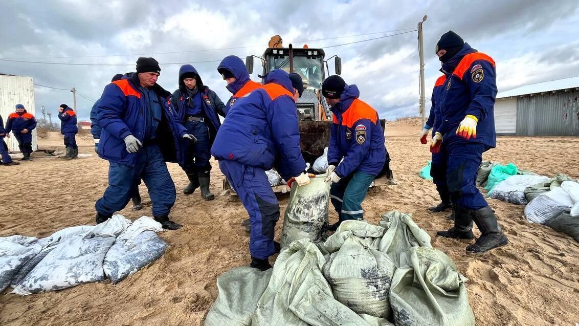 Специалисты собирают загрязненный песок с кубанского берега после крушения танкеров с нефтепродуктами - РИА Новости, 1920, 20.12.2024