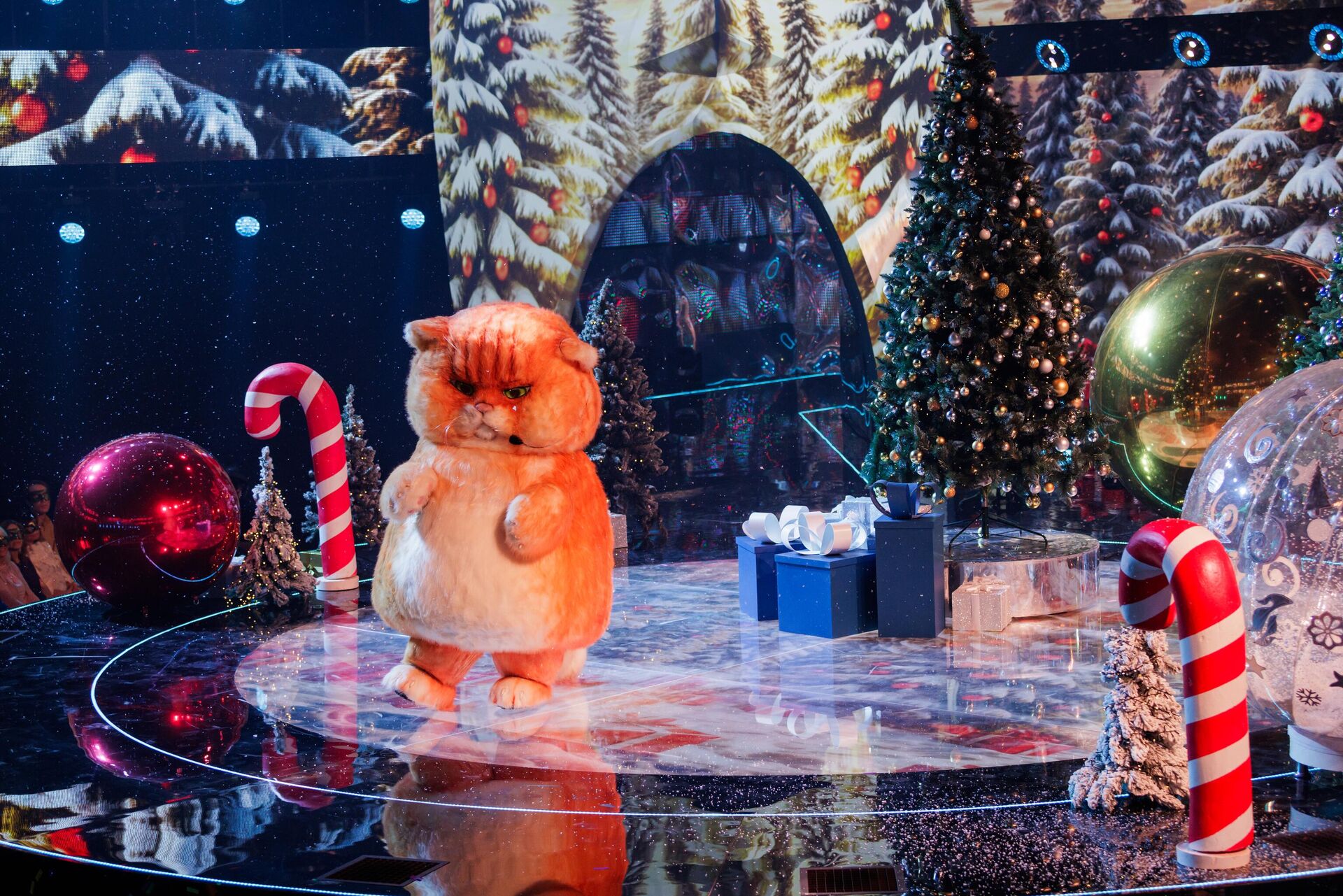 Новогодняя Маска - 2025 Новогодняя Маска - 2025 - РИА Новости, 1920, 20.12.2024