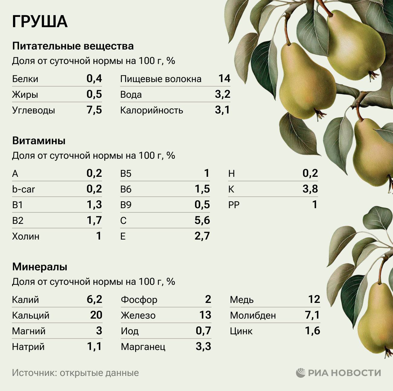 Груша: калорийность, состав, польза и вред для организма человека 