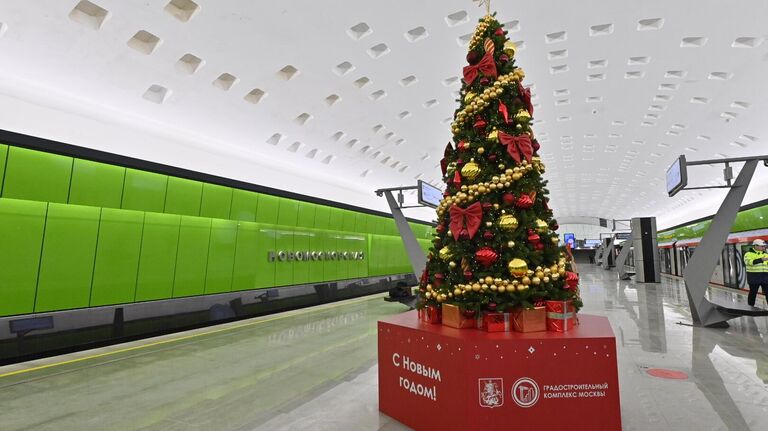 Станция Новомосковская Троицкой линии московского метрополитена