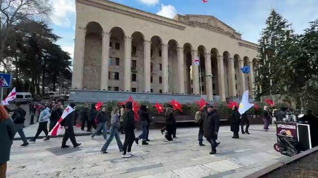 Акция протеста у здания парламента Грузии