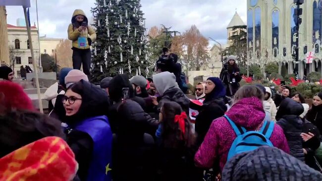 Столкновения протестующих около президентского дворца в Тбилиси