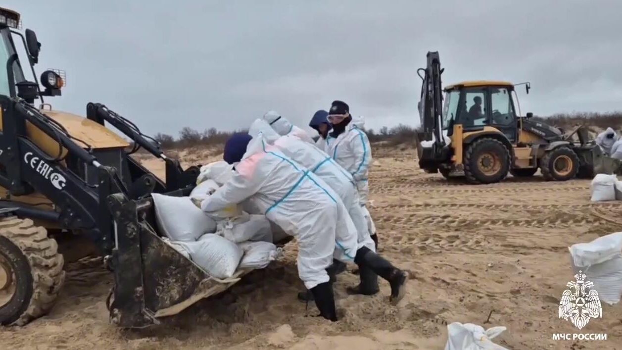 На Кубани и в Крыму собрано более 86 000 тонн загрязненного грунта - РИА Новости, 1920, 04.01.2025