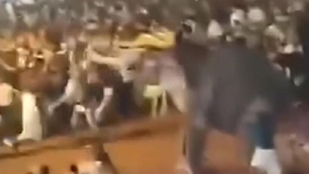 В Индии разъяренный слон напал на людей на религиозном фестивале