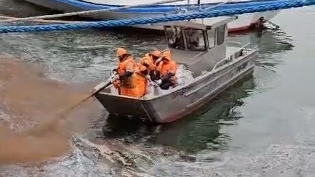 В Ростове-на-Дону ликвидировали загрязнение реки Дон