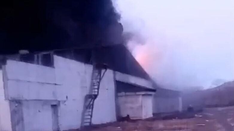 Пожар на птицефабрике в Приморье. Кадр видео очевидца - РИА Новости, 1920, 13.01.2025