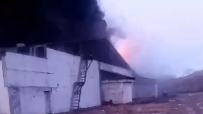 Пожар на птицефабрике в Приморье. Кадр видео очевидца