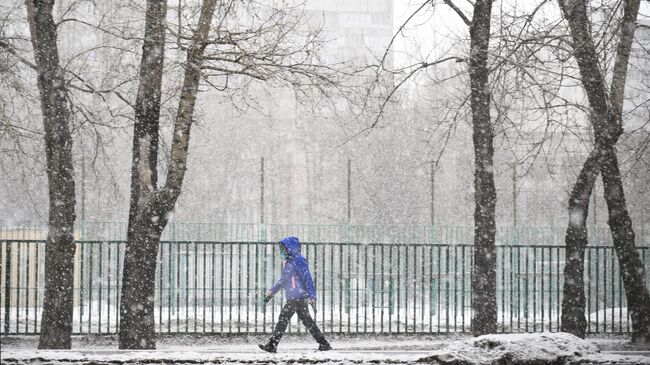 Снег в Москве