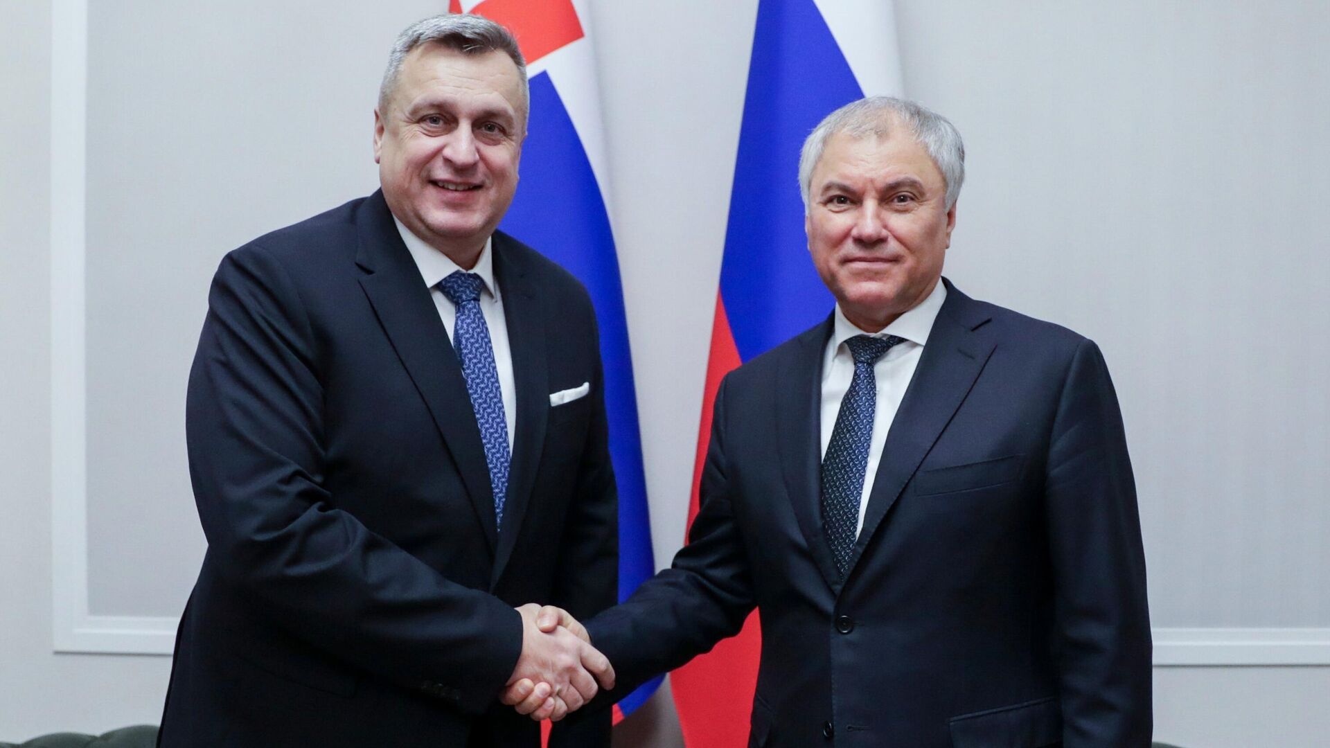 Председатель Государственной Думы РФ Вячеслав Володин и заместитель председателя Национального совета Словацкой Республики Андрей Данко во время встречи в Москве - РИА Новости, 1920, 13.01.2025