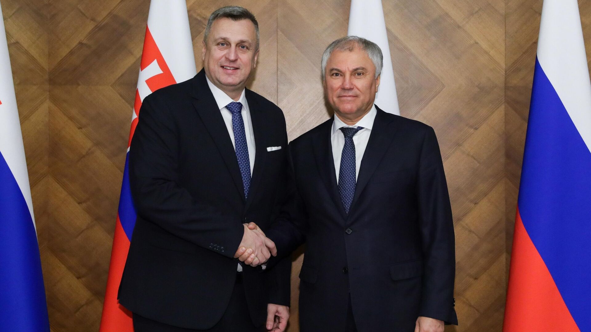 Председатель Государственной Думы РФ Вячеслав Володин и заместитель председателя Национального совета Словацкой Республики Андрей Данко во время встречи в Москве - РИА Новости, 1920, 13.01.2025