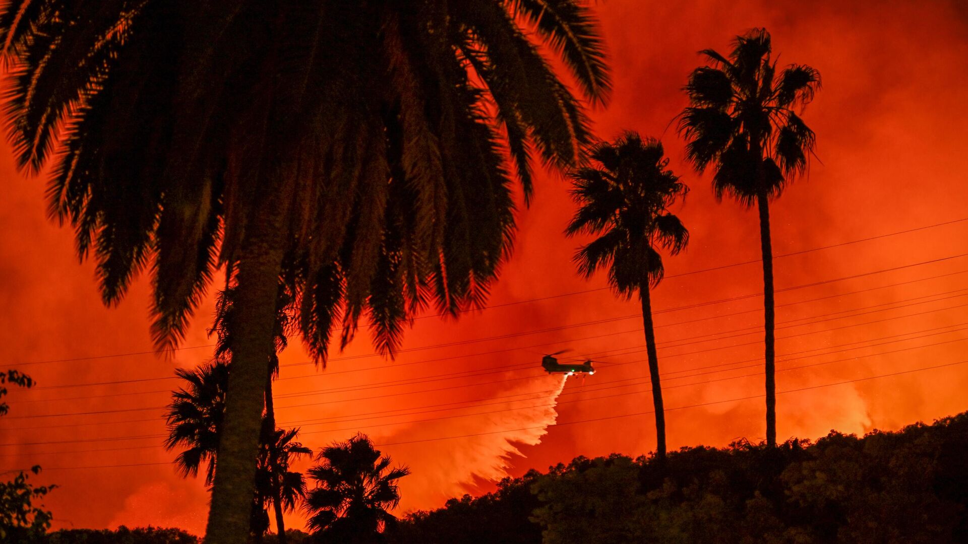 Лесные пожары в Лос‑Анджелесе - РИА Новости, 1920, 14.01.2025