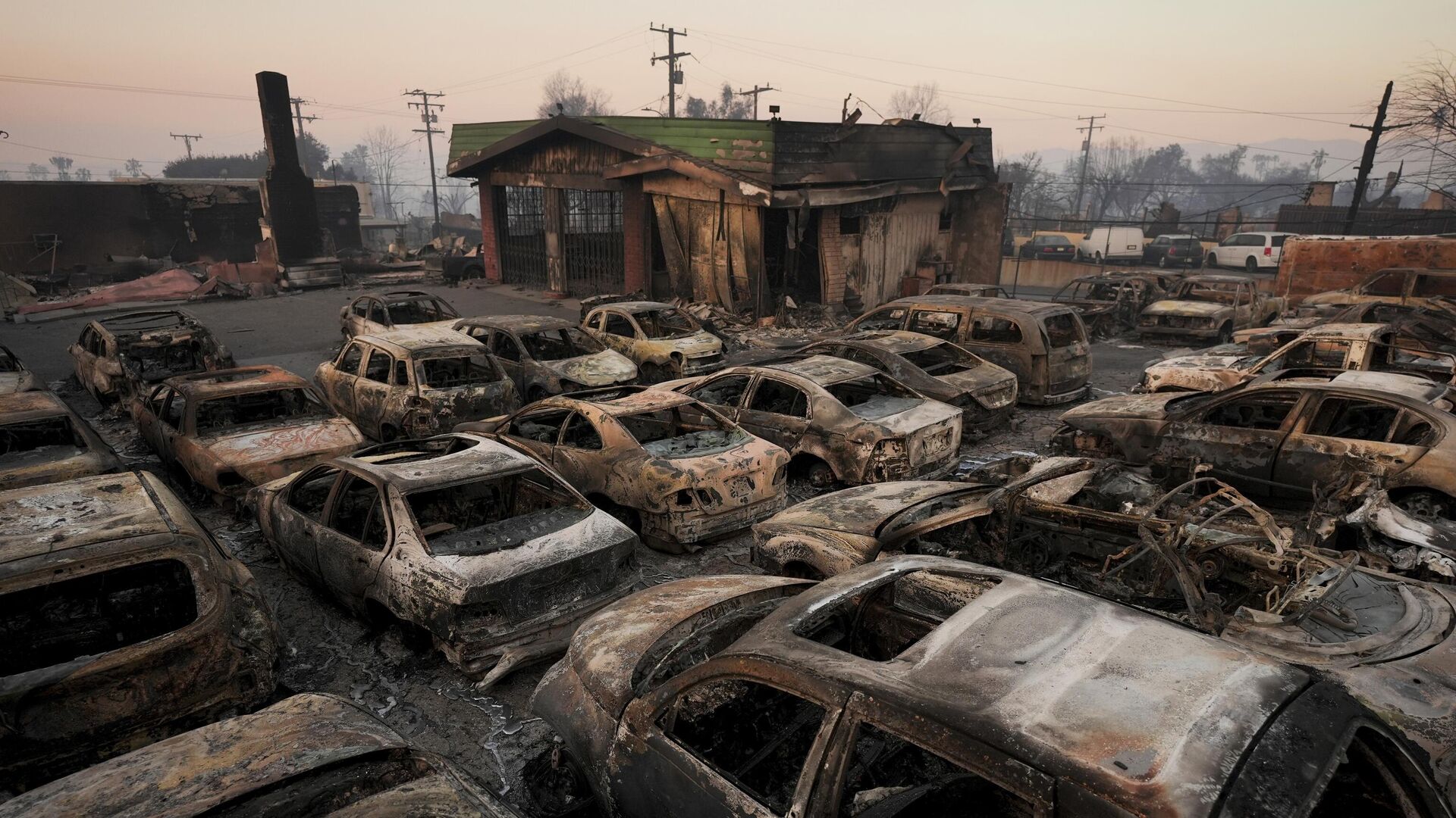 Последствия пожаров в Калифорнии - РИА Новости, 1920, 22.01.2025