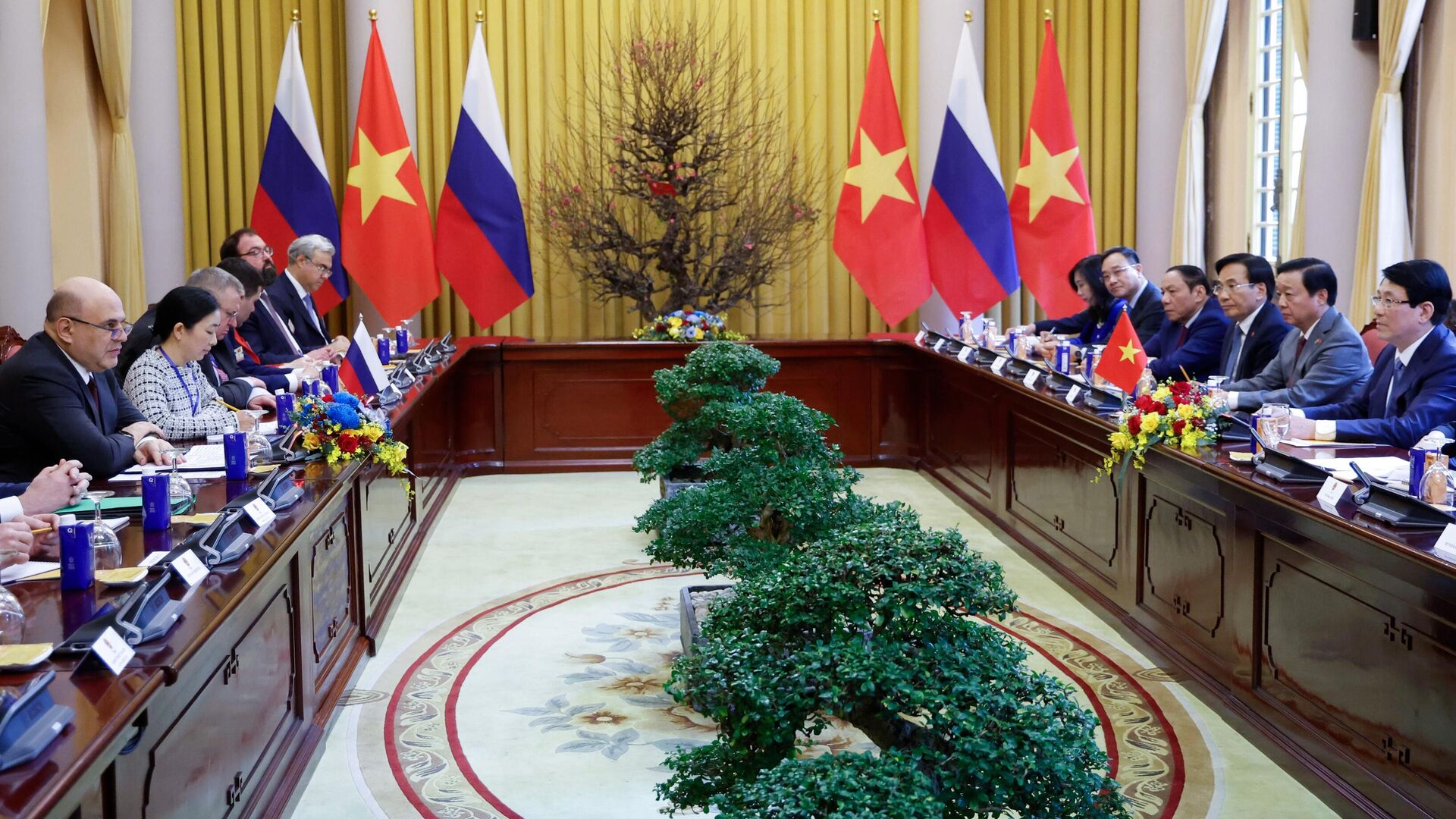 Председатель правительства РФ Михаил Мишустин и президент Вьетнама Лыонг Кыонг во время встречи в Ханое - РИА Новости, 1920, 15.01.2025