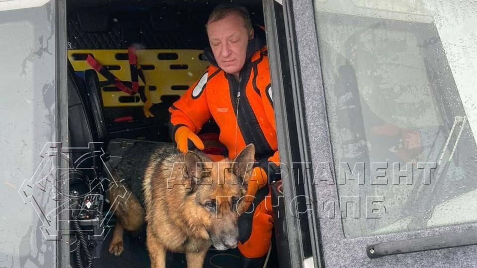 Спасатели вытащили собаку из Москвы-реки в районе посёлка Речник - РИА Новости, 1920, 16.01.2025