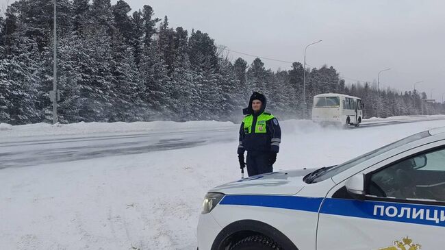 Госавтоинспекция призывает воздержаться от поездок в метель и снегопад