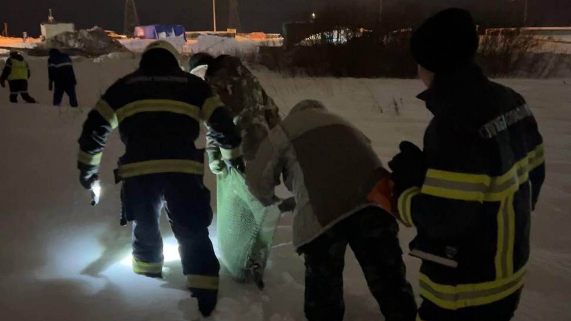 Спасатели вернули раненого тюленя в естественную среду в Архангельске - РИА Новости, 1920, 23.01.2025