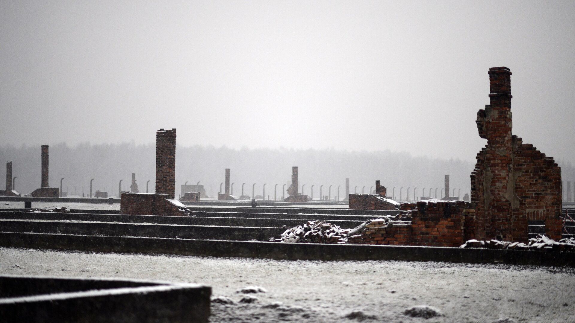 Российские дипломаты не поедут на годовщину освобождения Освенцима