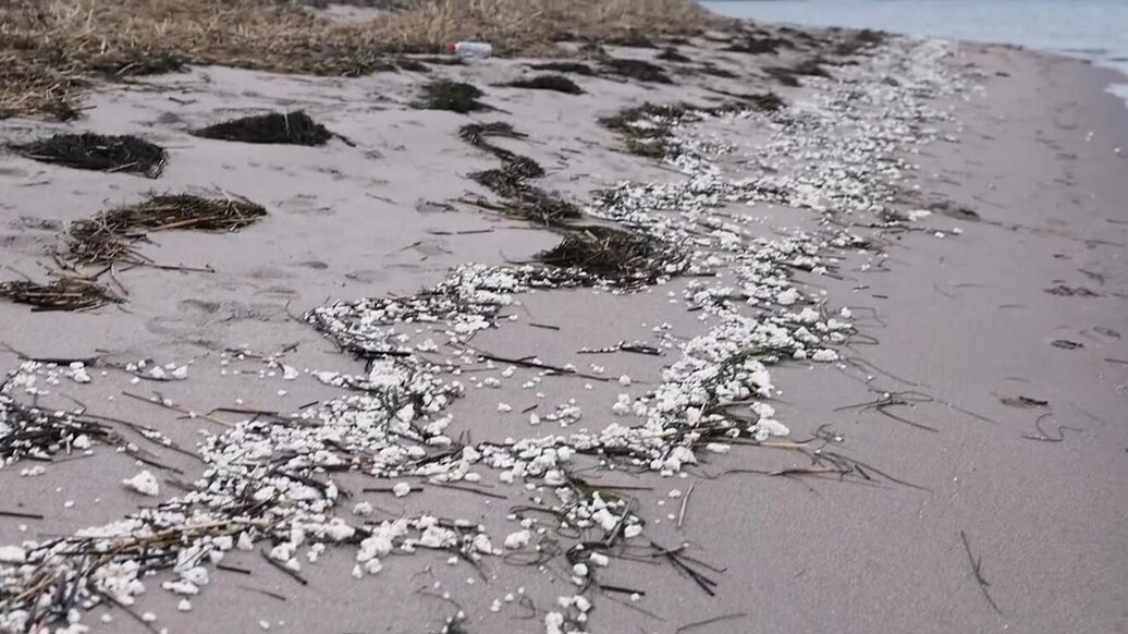 Белое вещество на побережье финского полуострова Ханко. Кадр видео. Архивное фото