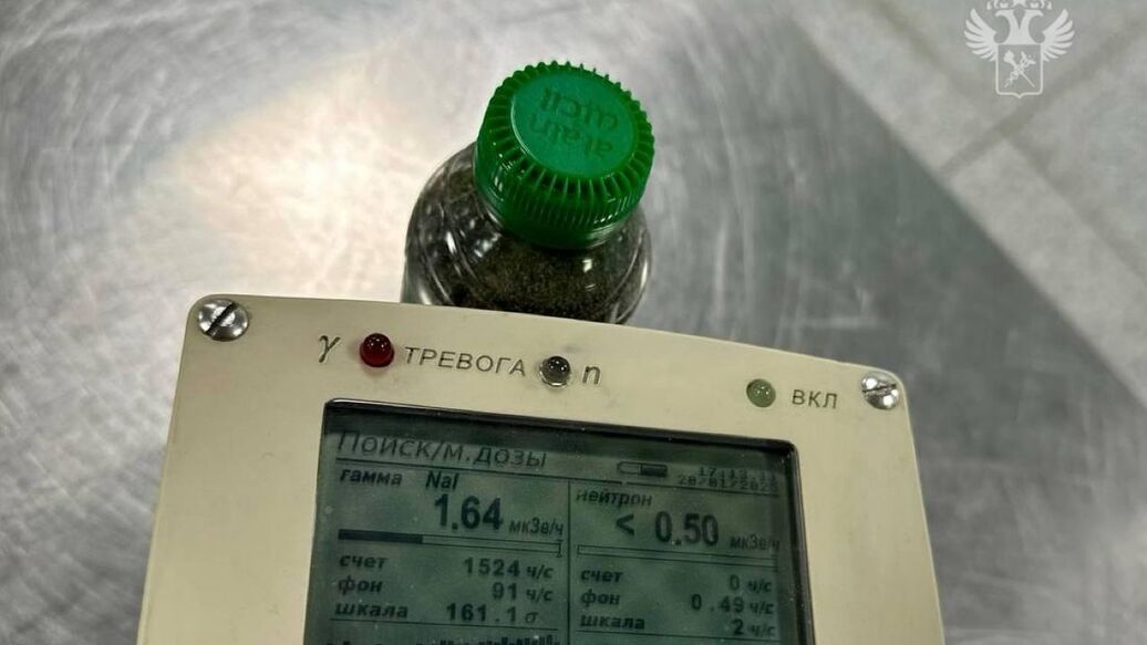 В Домодедово у туристки из Индии изъяли радиоактивный вулканический песок