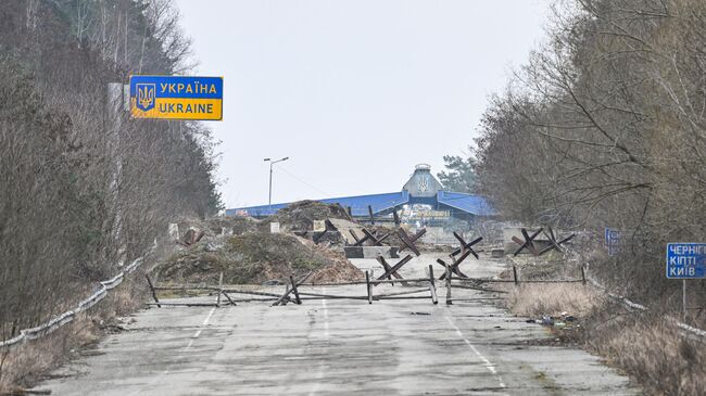 Граница Белоруссии и Украины возле пункта пропуска Новая Гута Гомельской области