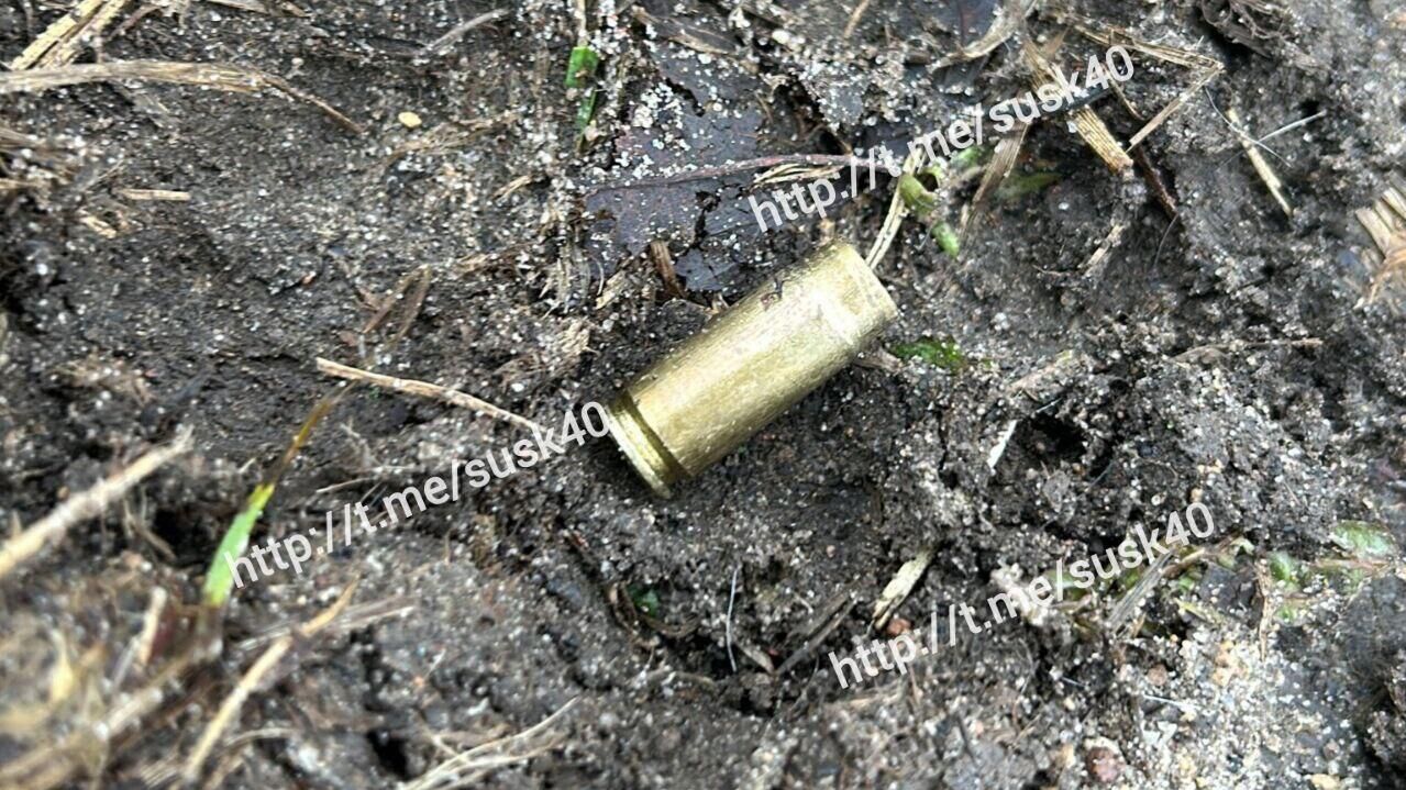 Гильза на месте убийства в Калужской области - РИА Новости, 1920, 29.01.2025