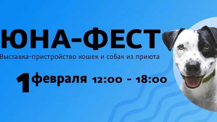 Центр реабилитации временно бездомных животных Юна и ТРЦ Ривьера проведут выставку-пристройство кошек и собак из приюта Центр реабилитации временно бездомных животных Юна и ТРЦ Ривьера проведут выставку-пристройство кошек и собак из приюта - РИА Новости, 1920, 29.01.2025