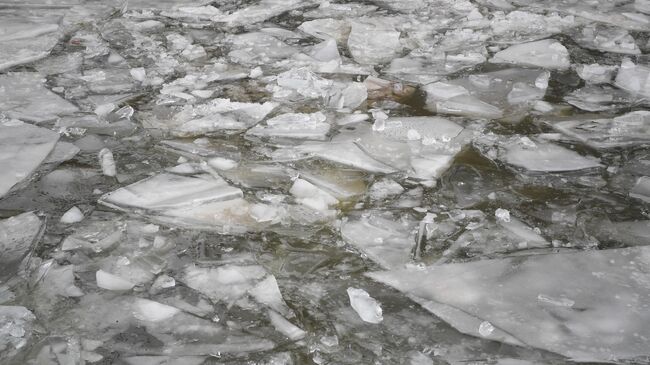 Лед на поверхности водоема