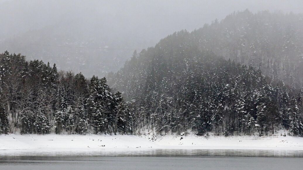 Мужчина выжил в тайге Приамурья в 40-градусный мороз