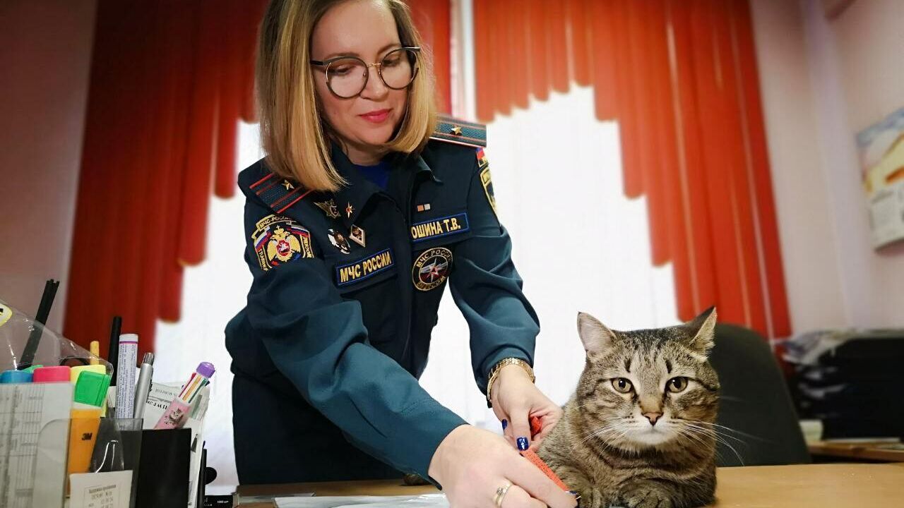 Коту Толику из отряда Семенычи сделали контрольные обмеры для пошива первой формы МЧС - РИА Новости, 1920, 31.01.2025