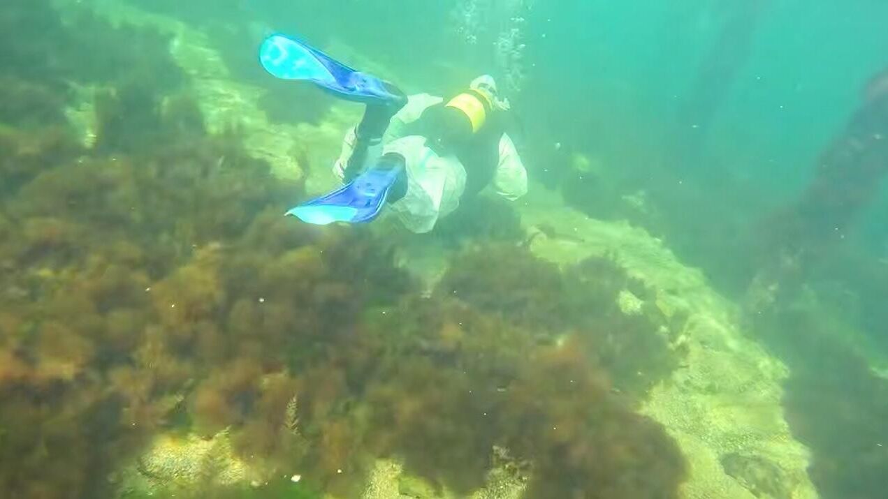 Проекты партии - Члены партии "Единая Россия" и молодогвардейцы одними из первых